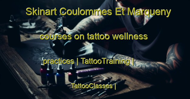 Skinart Coulommes Et Marqueny courses on tattoo wellness practices | TattooTraining | TattooClasses | SkinartTraining-France